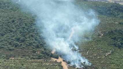Son Dakika: İzmir'de orman yangını!