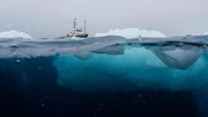 Antarktika için "akıllara durgunluk verecek" tehlike