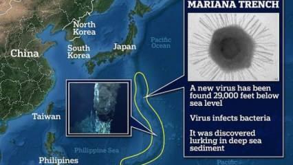 Çinliler Mariana çukurunda yeni bir virüs keşfetti!