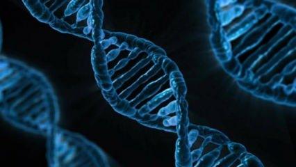 DNA'daki hastalıklara neden olan genler tespit edilecek: İşte Google'ın yapay zeka projesi