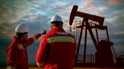 TPAO'ya Adana'daki 2 saha için 20 yıl süre ile petrol işletme ruhsatı verildi