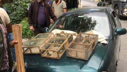 30 saka kuşu avına 73 bin lira ceza
