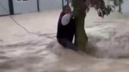 Arnavutköy'de ağaca tutunarak selden kurtuldu