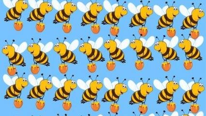 Resimde diğerlerinden farklı olan bal arısını 9 saniye içerisine fark edebilir misin?