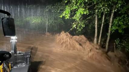 Rize ve Artvin'de şiddetli yağışlar sele neden oldu