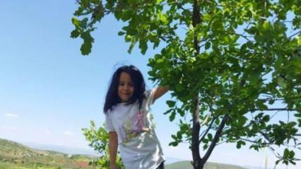 6 yaşındaki kızın esrarengiz ölümü! Yol kenarında bulundu