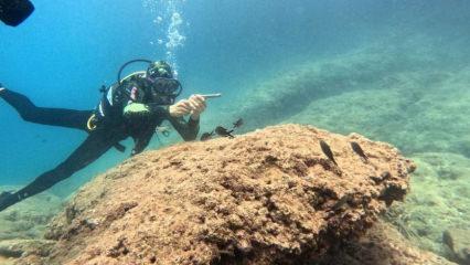 Antalya’da suyun altında da Avrupalı turistler önde