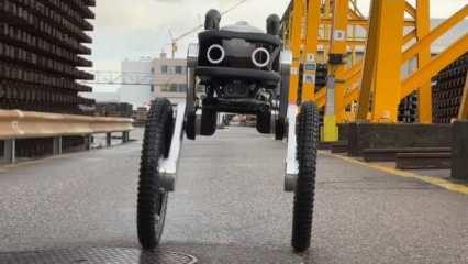 Bu robot bütün engelleri aşıyor!