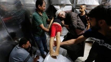 Gazze ve Filistin ölürken, vicdanları ayağa kaldırmaya çalışmak