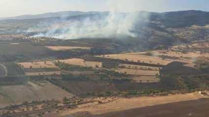 Eskişehir'de orman yangını
