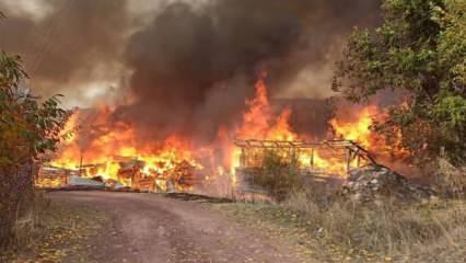 Kastamonu'da köyde yangın; 45 ev ve ahır alevlere teslim oldu
