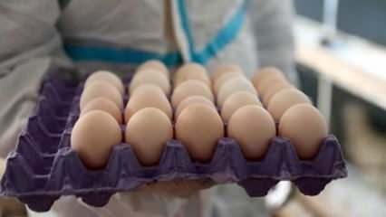 Yumurta üreticilerinden sözlü savunma