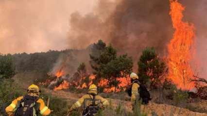 Bin 400 hektar orman kül oldu. İspanya'da orman yangını!