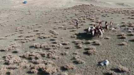 Jandarma, kaybolan 30 ineği dron ile buldu