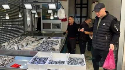 Sinop hamsisi azaldı: Kilosu 60 lira