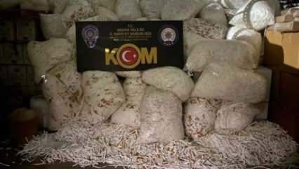Adana’da 112,5 milyon kaçak makaron ele geçirildi; 1 tutuklama 