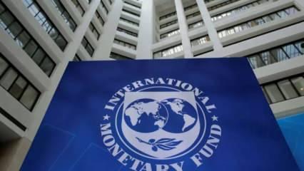 IMF'den Avrupa Merkez Bankası'na faiz çağrısı: Faizleri yüksek tutun