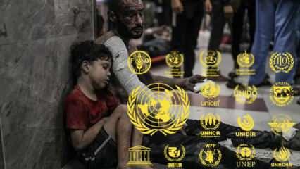 Uluslararası kuruluşlar Gazze'deki soykırıma kör! UNICEF, WHO, IEA, WFP, UNIFEM nerede?