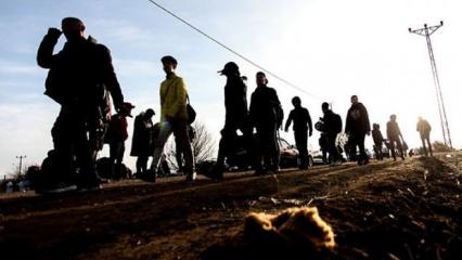 Sınırda göçmen kaçakçılığı operasyonu: 82 gözaltı!