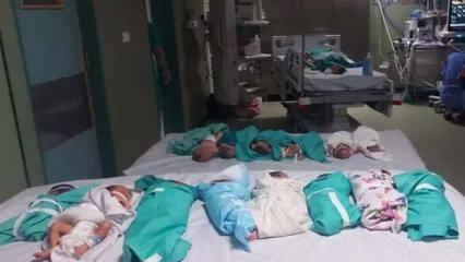 Vahşi teklif: İsrail, Gazzeli bebekleri masaya koyuyor!