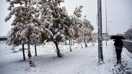 Bitlis'in yüksek kesimlerinde kar kalınlığı 30 santimetre oldu