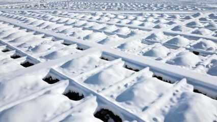 Erzurum'da kış hazırlığı: Toprak donmadan bin mezar kazıldı!