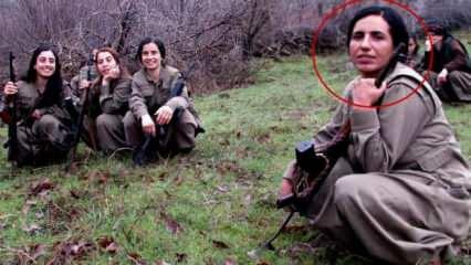 MİT, Jiyan Mardin'i etkisiz hale getirdi