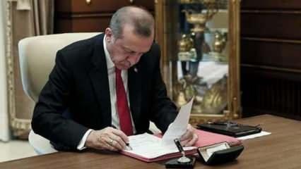 Türk Yatırım Fonu kuruldu! 5 devlet tarafından karşılanacak 