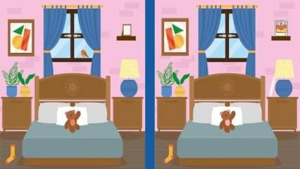 İki resim arasındaki 6 farkı 9 saniyede bulabilir misiniz? Kartal kadar keskin gözlerinizi test edin!