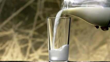 Toplanan inek sütü miktarı ekimde yıllık bazda yüzde 8,2 arttı