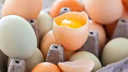Yumurta kabuğu faydaları: Yumurta kabuğu nasıl kullanılır, bitkilere nasıl verilir?