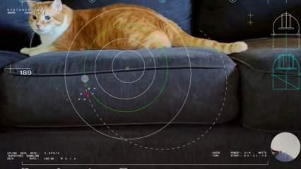 Dünya'ya 31 milyon kilometre uzaklıktan kedi videosu gönderildi!
