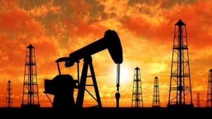 Petrolde gözler Kızıldeniz krizi ve OPEC'te