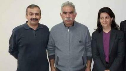 Öcalan PKK'ya silah bıraktırabilir mi? Uzman isimler İmralı ziyaretini değerlendirdi