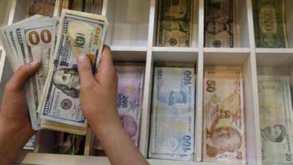 Döviz ve altın dönüşümlü KKM bakiyesi kasımda 6,3 milyar dolar geriledi