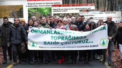 Duyarlı değil kumandalı çevrecilik:Katliamlarına sustukları İBB için orman eylemi yaptılar