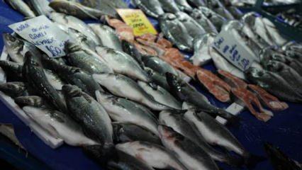 Hava şartları balık fiyatlarını etkiledi