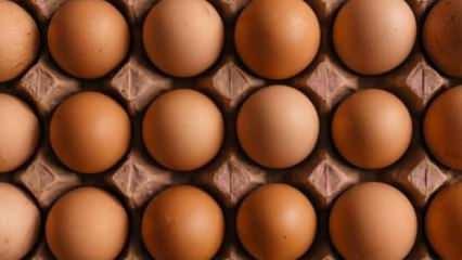 Türkiye'den Rusya'ya 19 tonluk yumurta