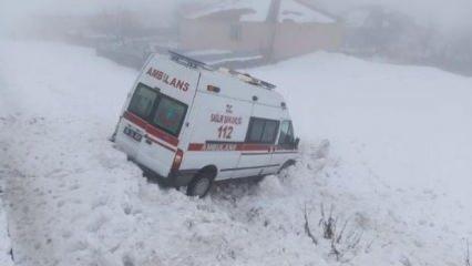 Bingöl'de ambulans şarampole devrildi: Yaralılar var