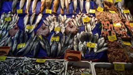 İstanbul'da balık fiyatlarında düşüş