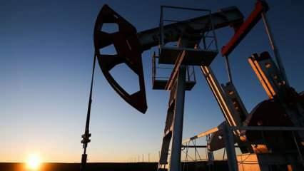 Petrol fiyatları Libya etkisiyle düşüşte