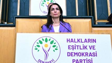 PKK'ya operasyonlardan rahatsız olan DEM Parti'den yalan ve hadsiz çağrı