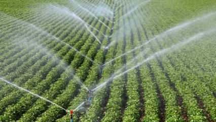 Tarım yatırımlarından en büyük payı sulama projeleri alacak