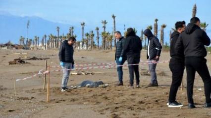 Antalya'da, sahilde 6 günde 8 ceset bulundu 