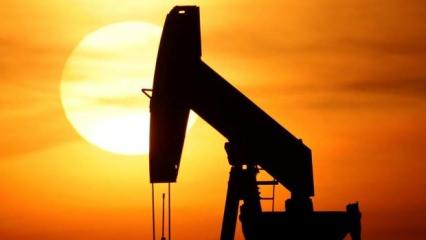 Brent petrolün varili 80,21 dolar