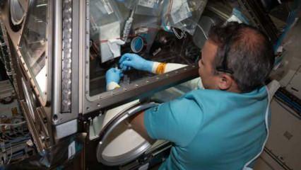 Astronot Gezeravcı uzaydaki 10. deneyini yapacak: "UYNA" yeni nesil alaşımlara kapı açacak