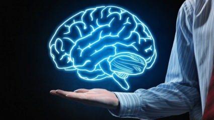 Bilim insanları beyin için en iyi iki aktiviteyi belirledi