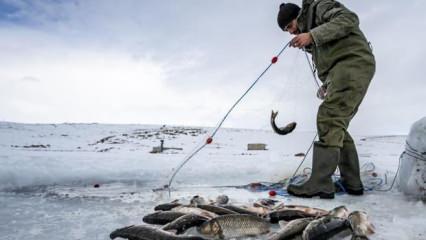 Buzla kaplı gölde 30 yıldır "Eskimo usulü" balık avlıyor
