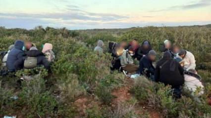 Kaçak göçmenler, insansız hava aracıyla tespit edilip yakalandı