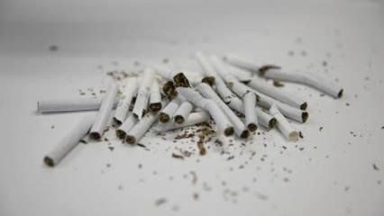 Kanserlerin yüzde 30'u sigara kaynaklı